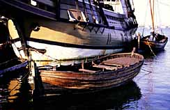 Mayflower with sallops